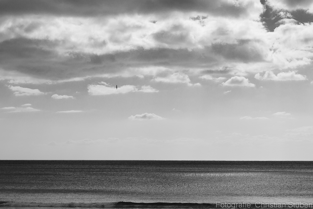 Seascape II with seagull / paisaje marino II con gaviota