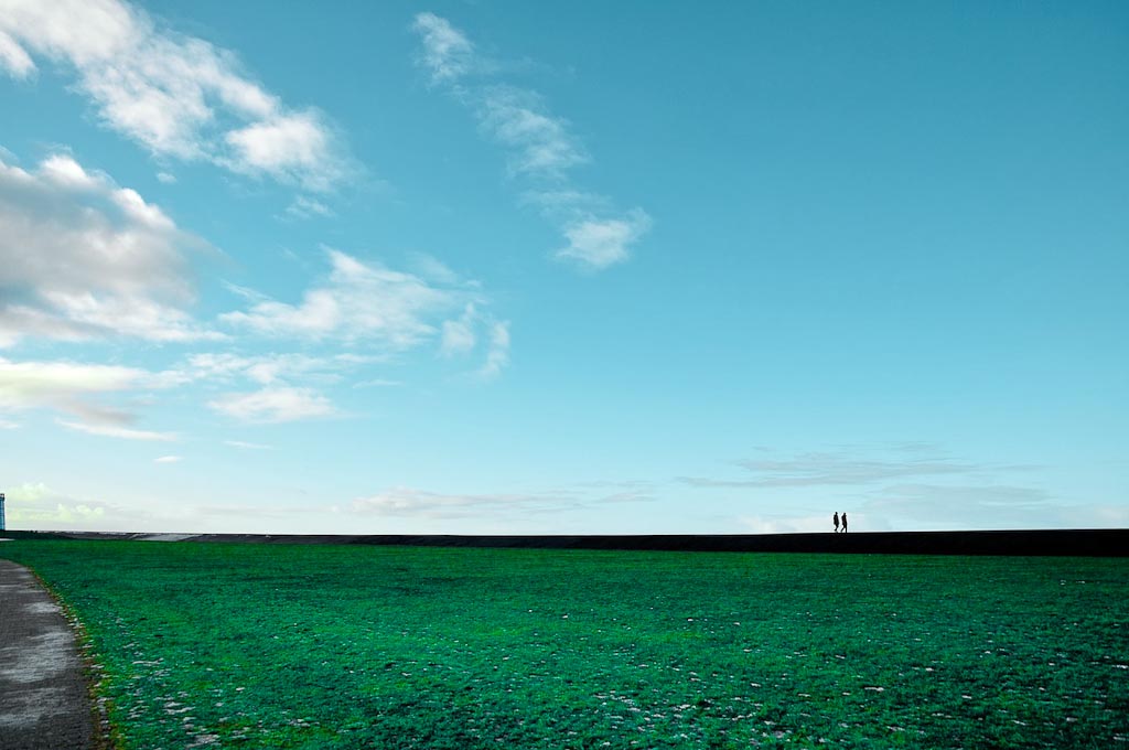 Wiese noch grüner