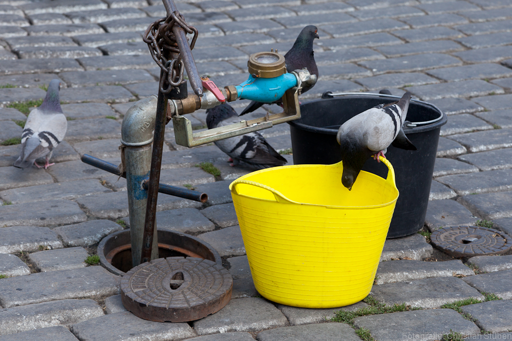 durstig * thirsty * žíznivý